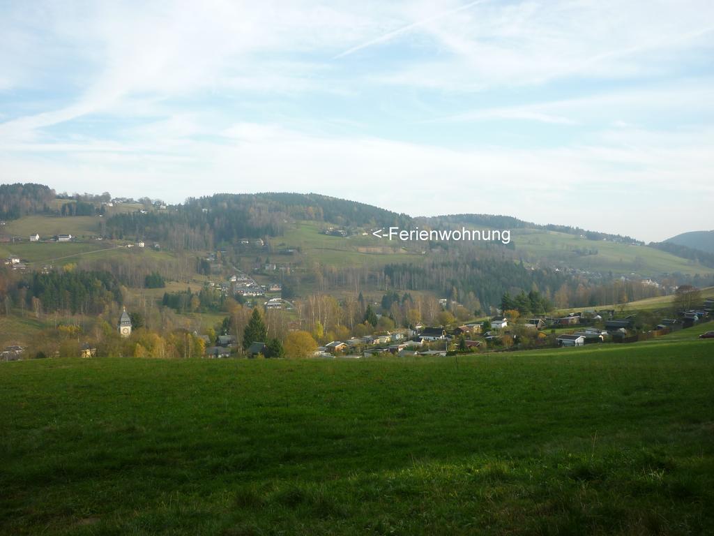 Ferienwohnung Laempelberg Klingenthal Phòng bức ảnh