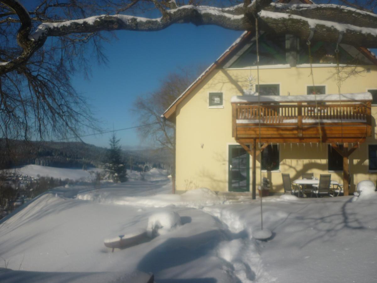 Ferienwohnung Laempelberg Klingenthal Ngoại thất bức ảnh